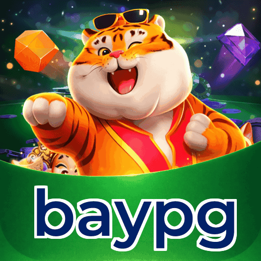 Métodos de pagamento aceitos na baypg